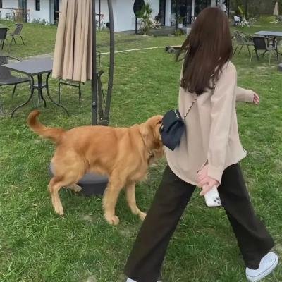 孤独无尽